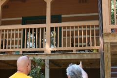 Log Homes